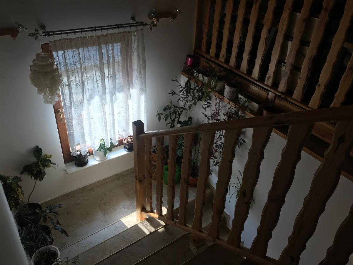 Къща За Гости - Еделвайс, Гр. Габрово Buitenkant foto